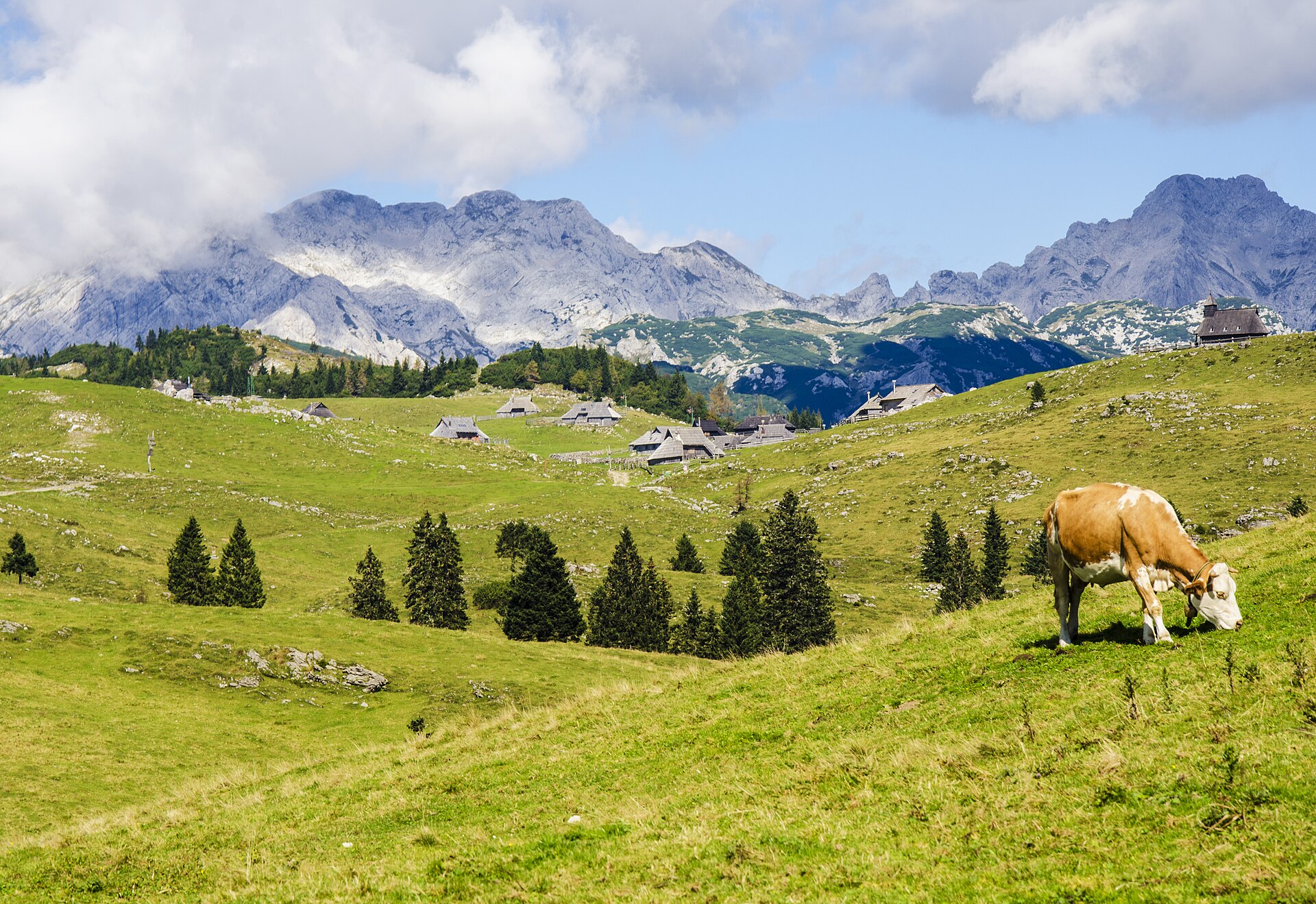 Velika planina